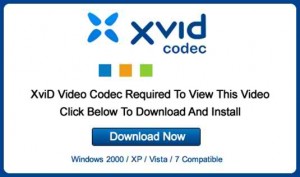 6 XVid Video Codec