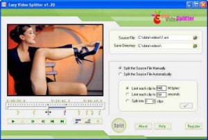 8Easy Video Splitter 2.01