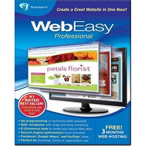 WebEasy Professional 9