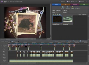 3. Adobe Premier Elements 11